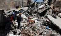Colombia earthquake death toll rises to 254 amid widespread destruction