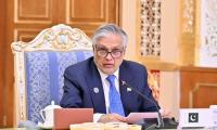 Ensuring Stability In Afghanistan Imperative For Safeguarding Regional Peace, Dar Says At SCO Moot 